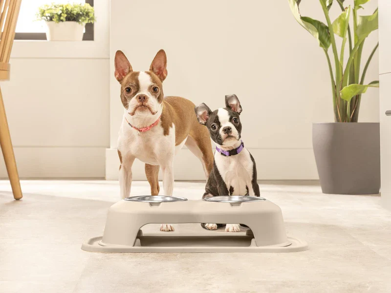 Double Bowl Pet Feeding System - Image 7