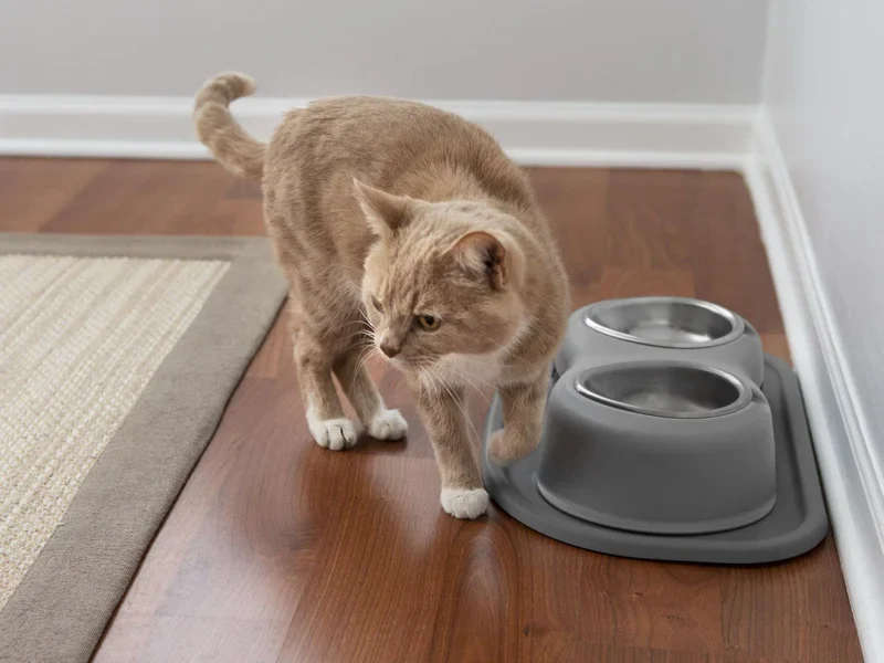 Double Bowl Pet Feeding System - Image 8