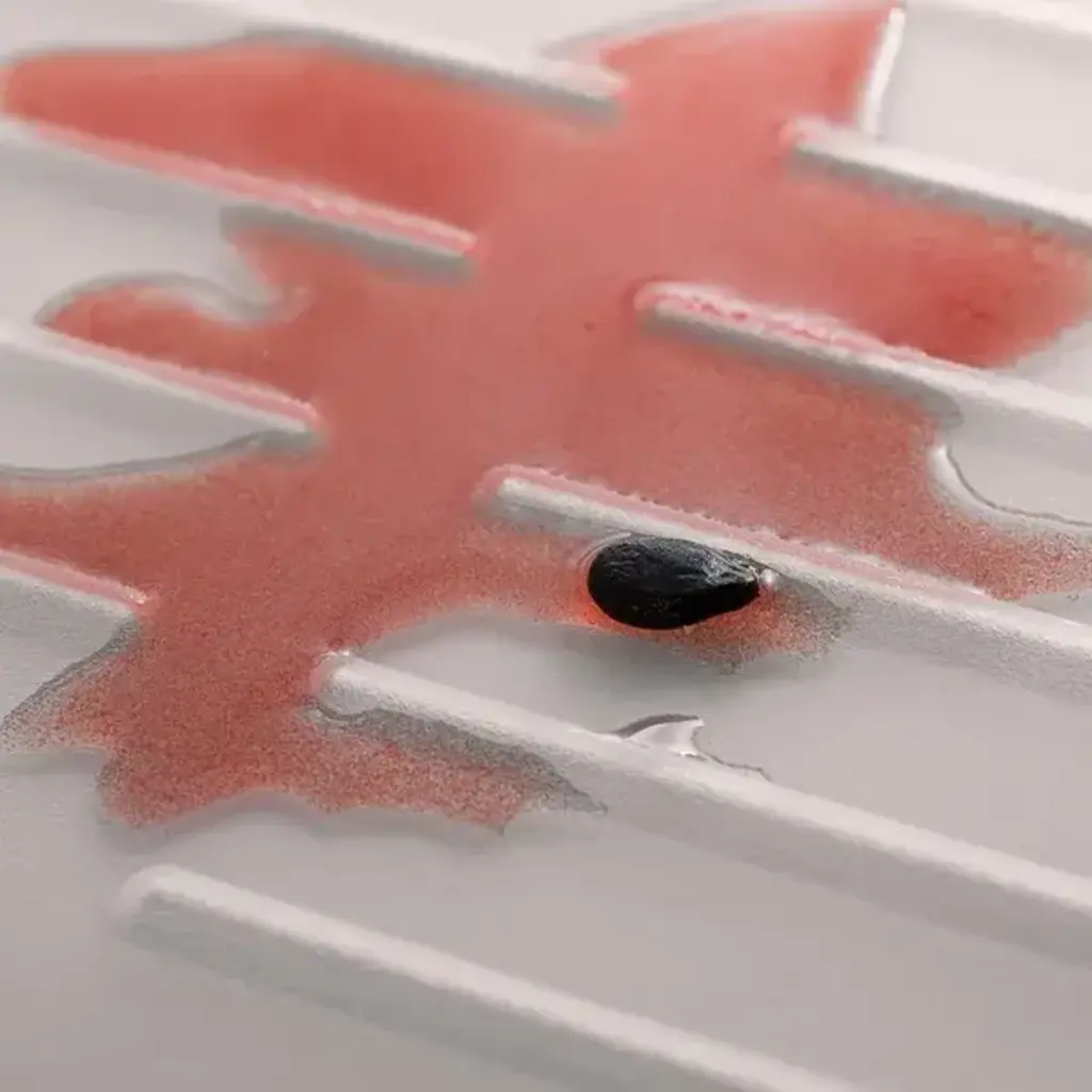 Fridge Food Mat - Hygienic - Liquid Proof - Image 7