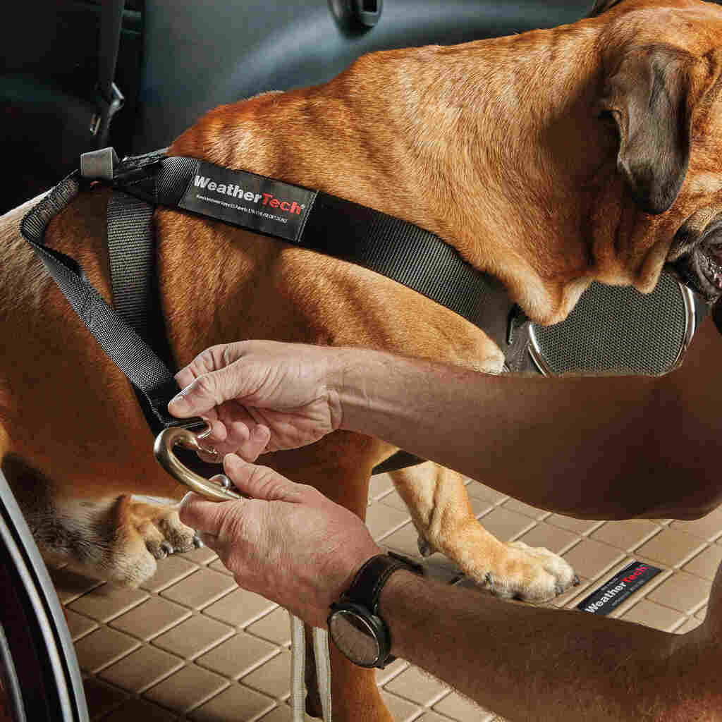 Pet Safety Harness - Image 4